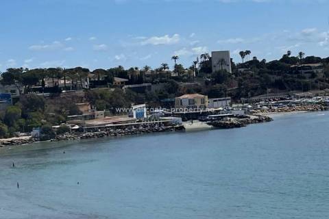 Cabo Roig