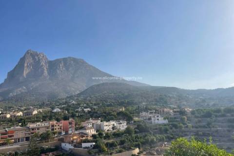 Albir